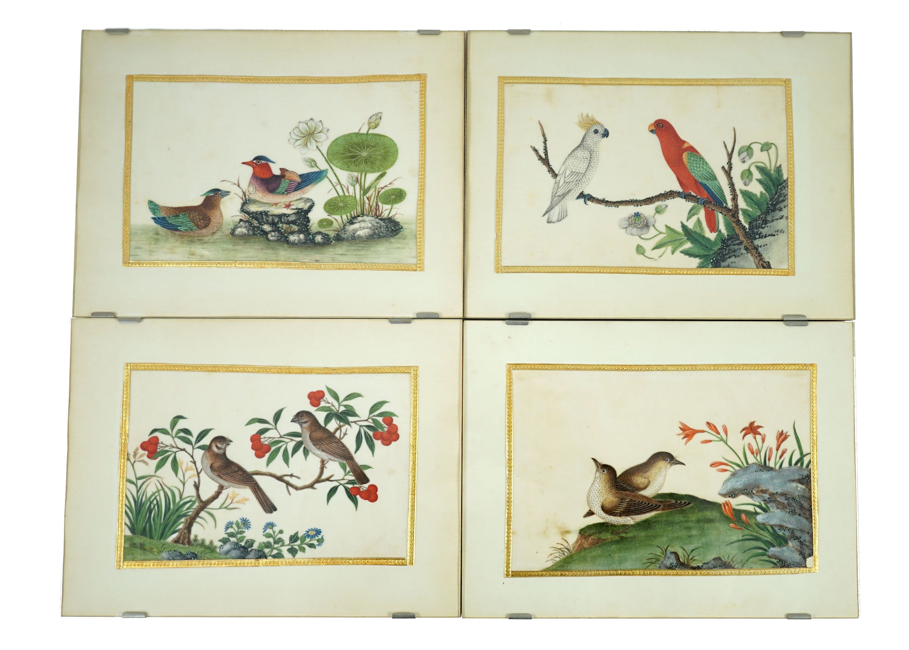 A set of 16 Chinese pith paintings of birds and flowers, mid 19th century, Largest Image 12cm x 18cm
